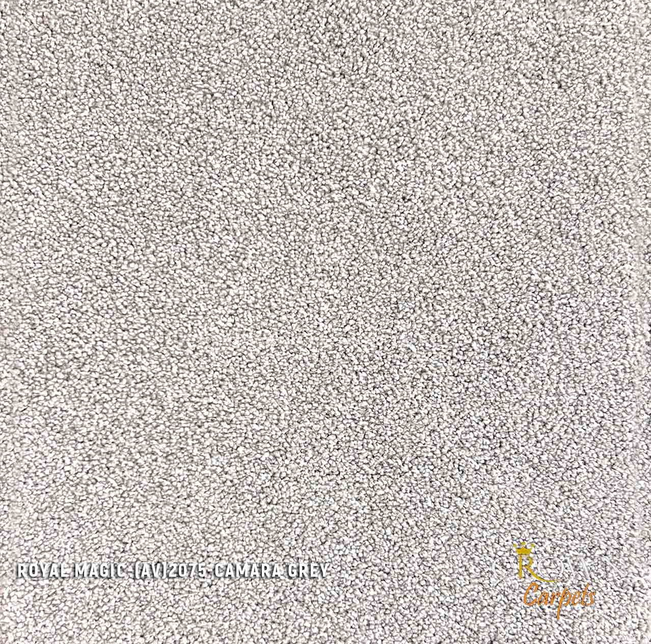 Explore Superior Thick Carpets wall to wall | Royal Magic (AV) Wall To Wall Carpet